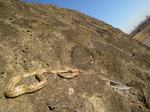 051210-01.jpg
