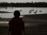060115-01.jpg
