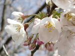060401-03.jpg