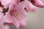060411-01.jpg