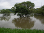 060617-03.jpg