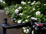 060624-09.jpg