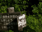 060715-21.jpg