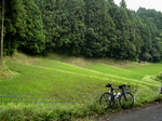060715-25.jpg