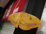 060820-02.jpg