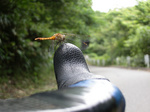 060820-06.jpg