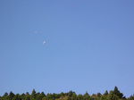 061125-03.jpg