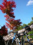 061125-04.jpg