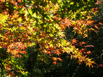 061125-07.jpg