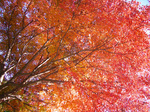 061125-08.jpg