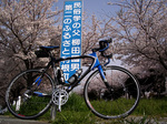 070407-05.jpg
