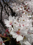 070407-06.jpg