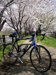 070407-08.jpg