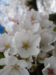070407-09.jpg