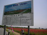 070527-03.jpg