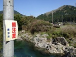 熊注意